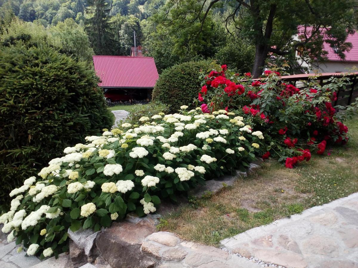 Apartamencik Na Slonecznej Piechowice  Dış mekan fotoğraf